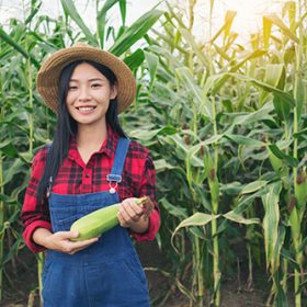 happy-farmer-in-the-corn-field-PWW4LKQ-1.jpg